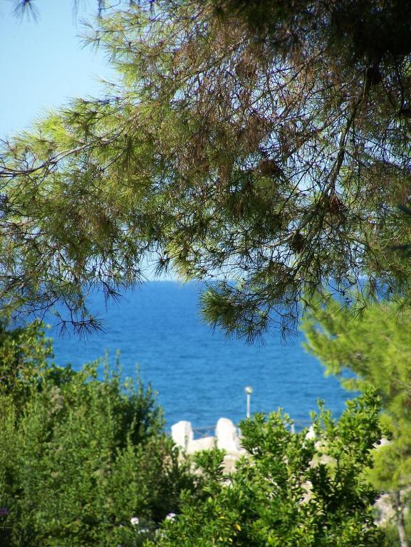 Tenuta Molino Di Mare- Ecoresort Con Villini Rodi Garganico Exteriör bild
