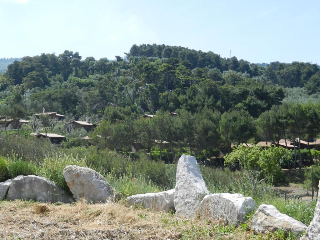 Tenuta Molino Di Mare- Ecoresort Con Villini Rodi Garganico Exteriör bild