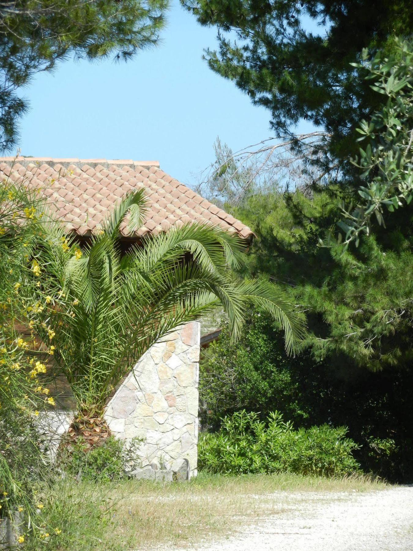 Tenuta Molino Di Mare- Ecoresort Con Villini Rodi Garganico Exteriör bild