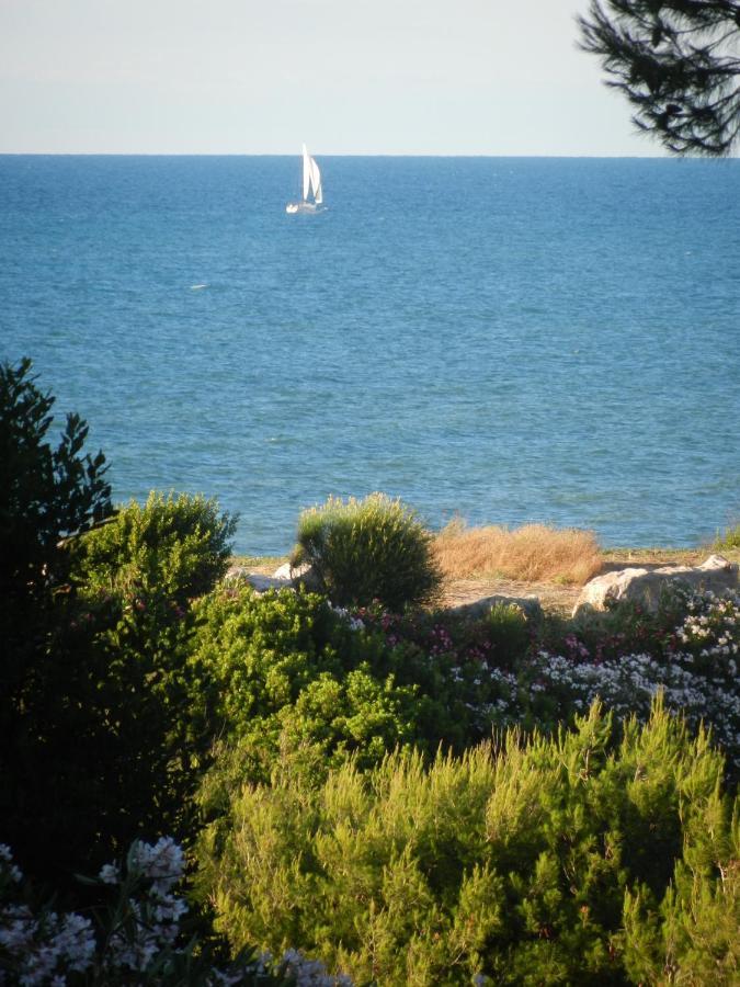 Tenuta Molino Di Mare- Ecoresort Con Villini Rodi Garganico Exteriör bild